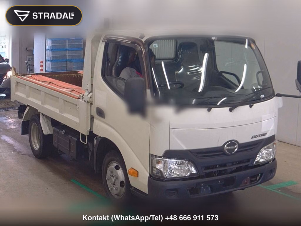 HINO DUTRO 2D DUMP LOW DECK 2019, aukcja z Japonii, zdjęcie 1