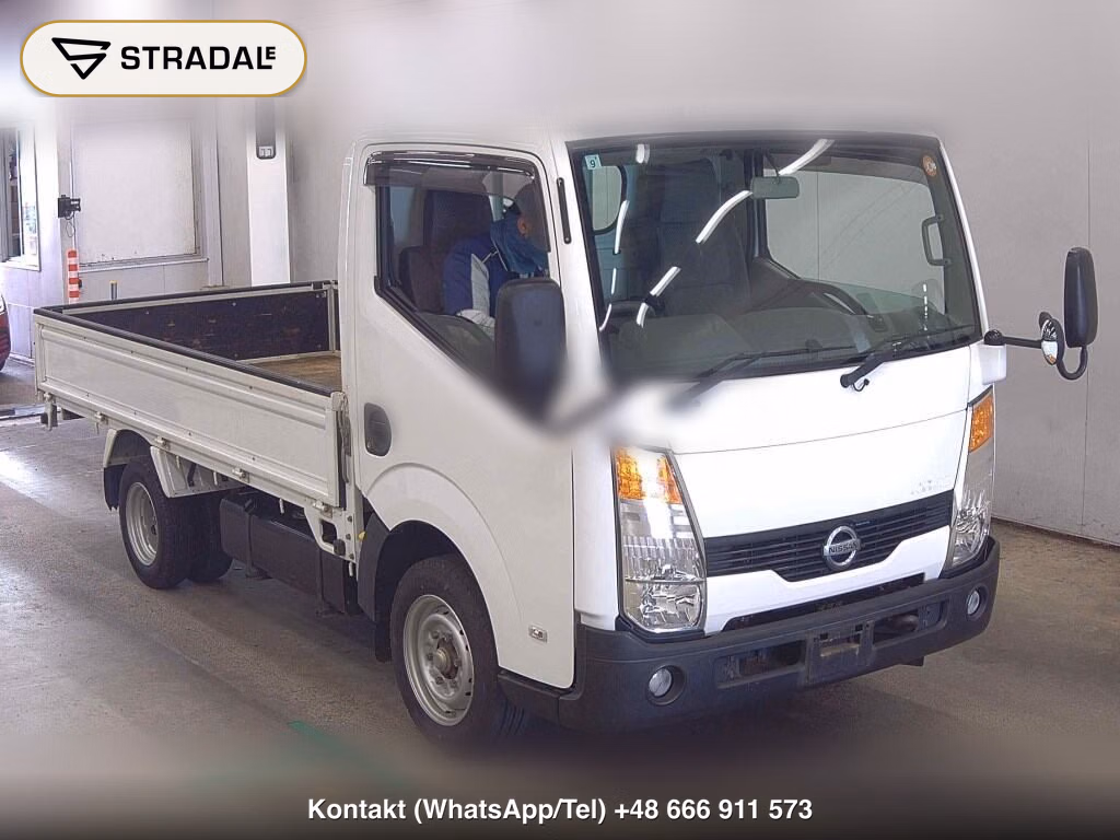 NISSAN ATLAS TRUCK SUPERLOW 2009, aukcja z Japonii, zdjęcie 1