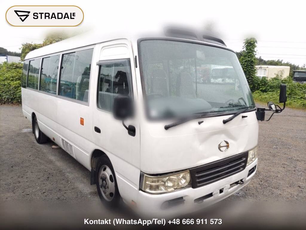 HINO LIESSE Ⅱ 2D LX 2013, aukcja z Japonii, zdjęcie 1