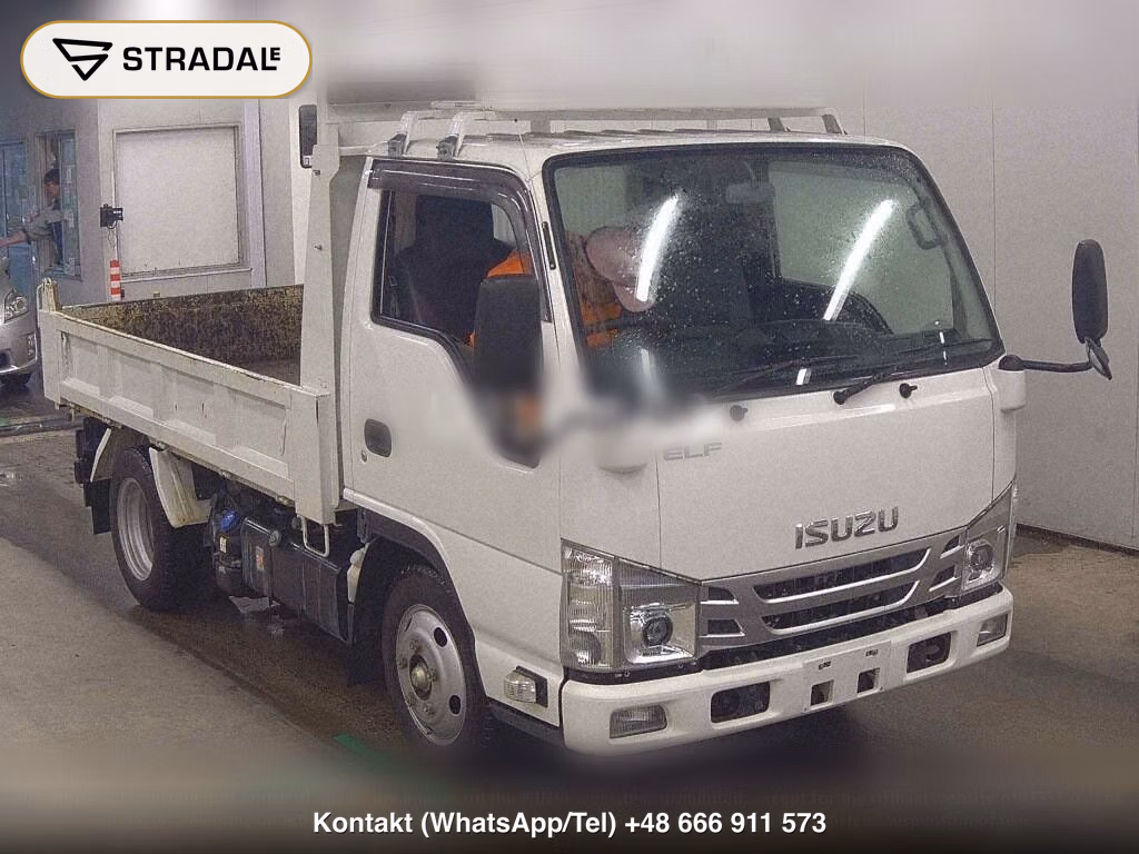 ISUZU ELF TRUCK 2D DUMP, miniaturka 2