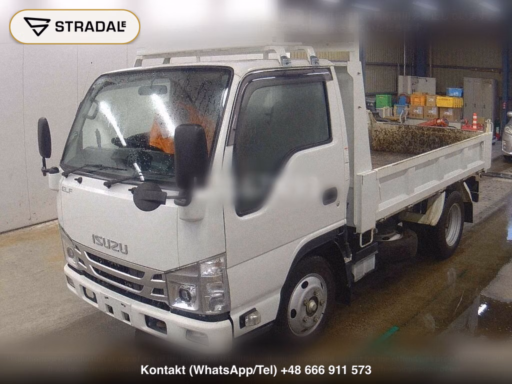 ISUZU ELF TRUCK 2D DUMP, miniaturka 5