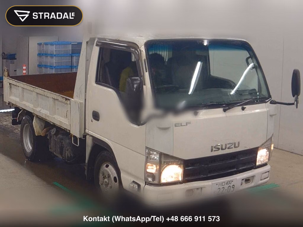 ISUZU ELF TRUCK 2D STRENGTHEN FULL FLATLOW DUMP 2012, aukcja z Japonii, zdjęcie 1