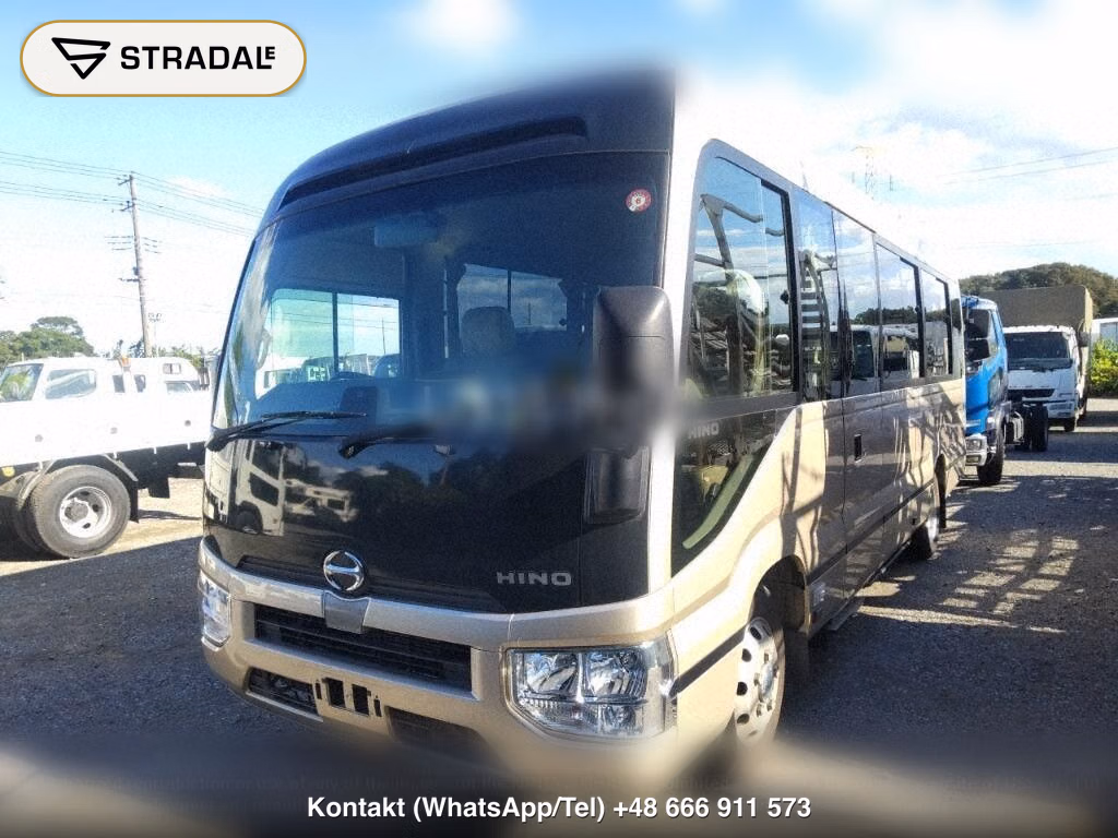 HINO LIESSE Ⅱ 2D OTHERS, miniaturka 5