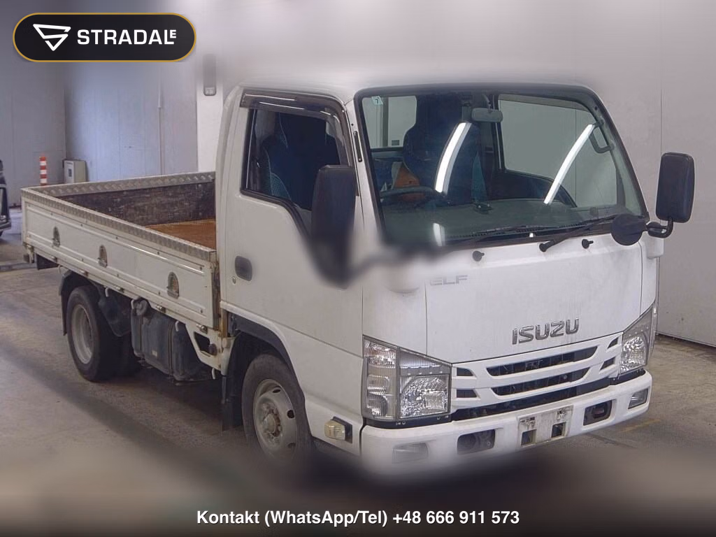 ISUZU ELF TRUCK 2D 2019, aukcja z Japonii, zdjęcie 1