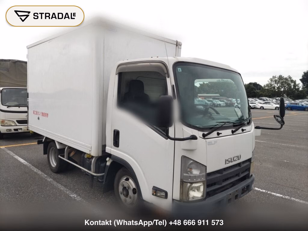 ISUZU ELF TRUCK 2D PANEL VAN 2009, aukcja z Japonii, zdjęcie 1