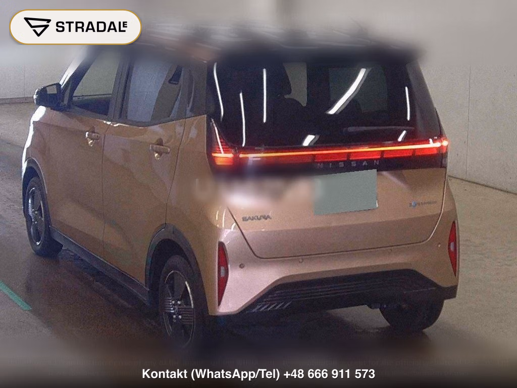 NISSAN SAKURA X, miniaturka 3