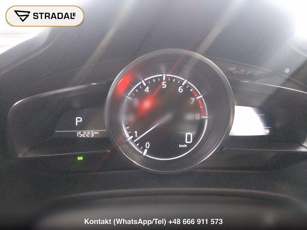 MAZDA AXELA SPORT 15S PROACTIVE, miniaturka 7