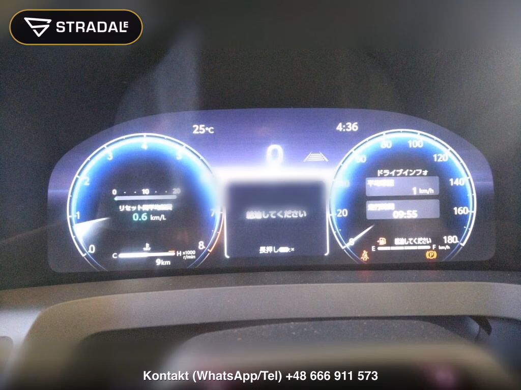 TOYOTA ALPHARD Z, miniaturka 7