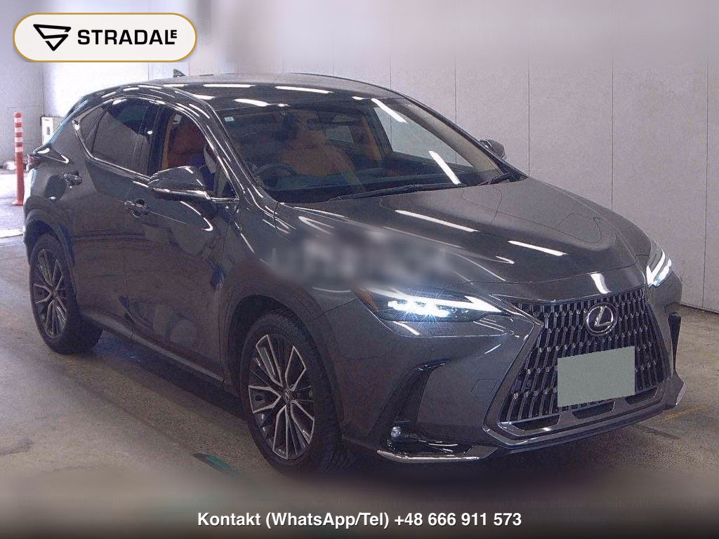 LEXUS NX NX250 VERSION L, miniaturka 2