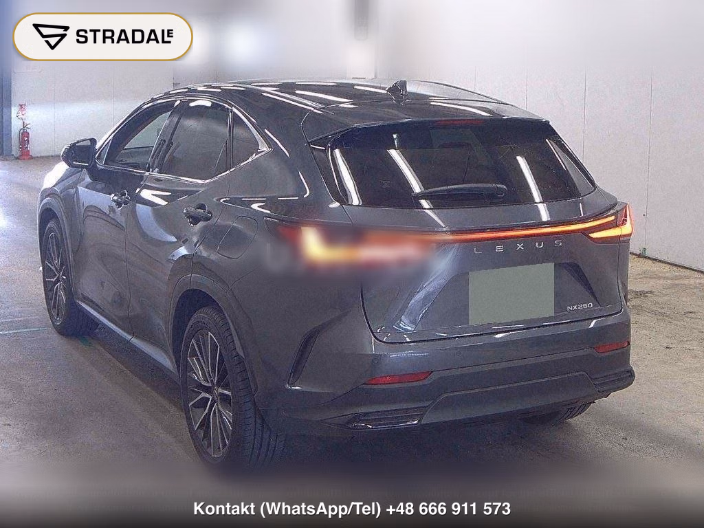 LEXUS NX NX250 VERSION L, miniaturka 3
