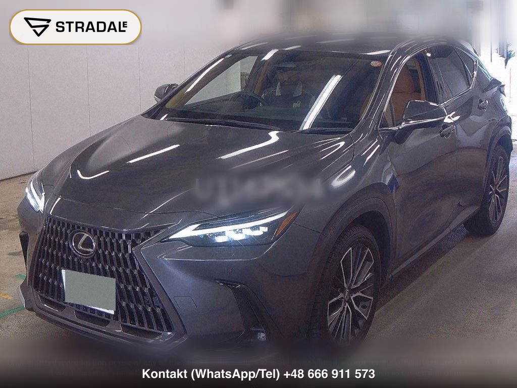 LEXUS NX NX250 VERSION L, miniaturka 5
