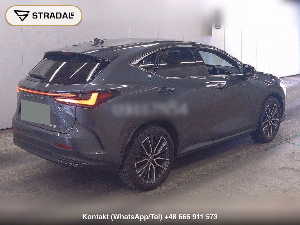 LEXUS NX NX250 VERSION L, miniaturka 6