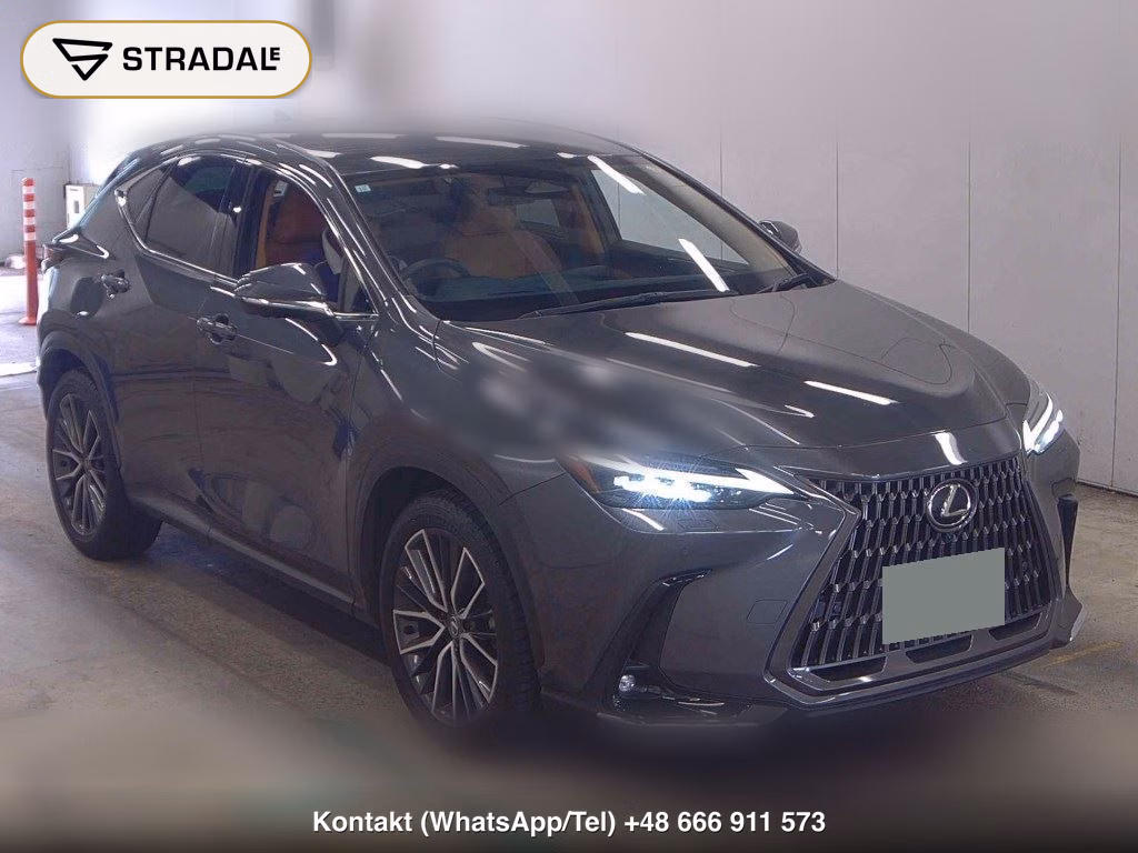 LEXUS NX NX250 VERSION L 2023, aukcja z Japonii, zdjęcie 1