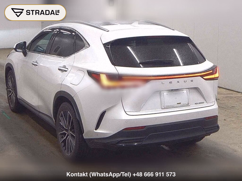 LEXUS NX NX250 VERSION L, miniaturka 3