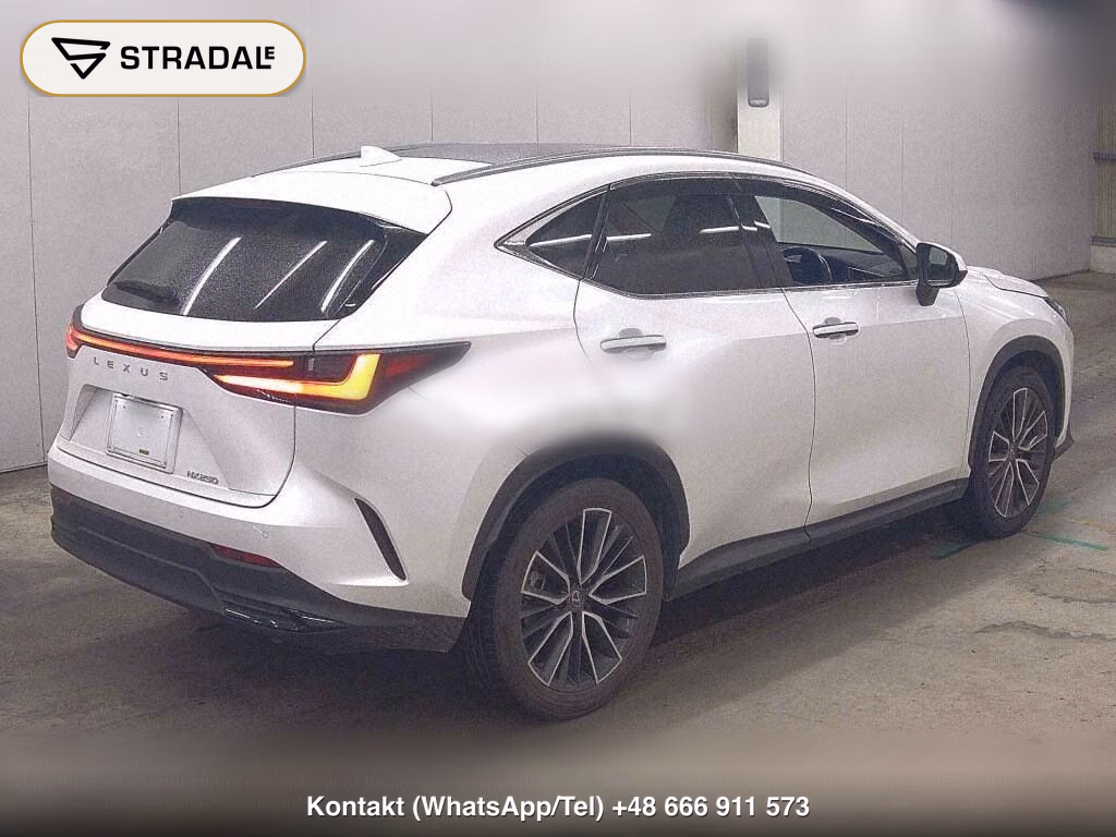 LEXUS NX NX250 VERSION L, miniaturka 6