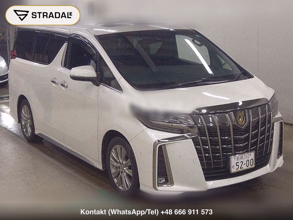 TOYOTA ALPHARD 2.5S TYPE GOLD, miniaturka 2