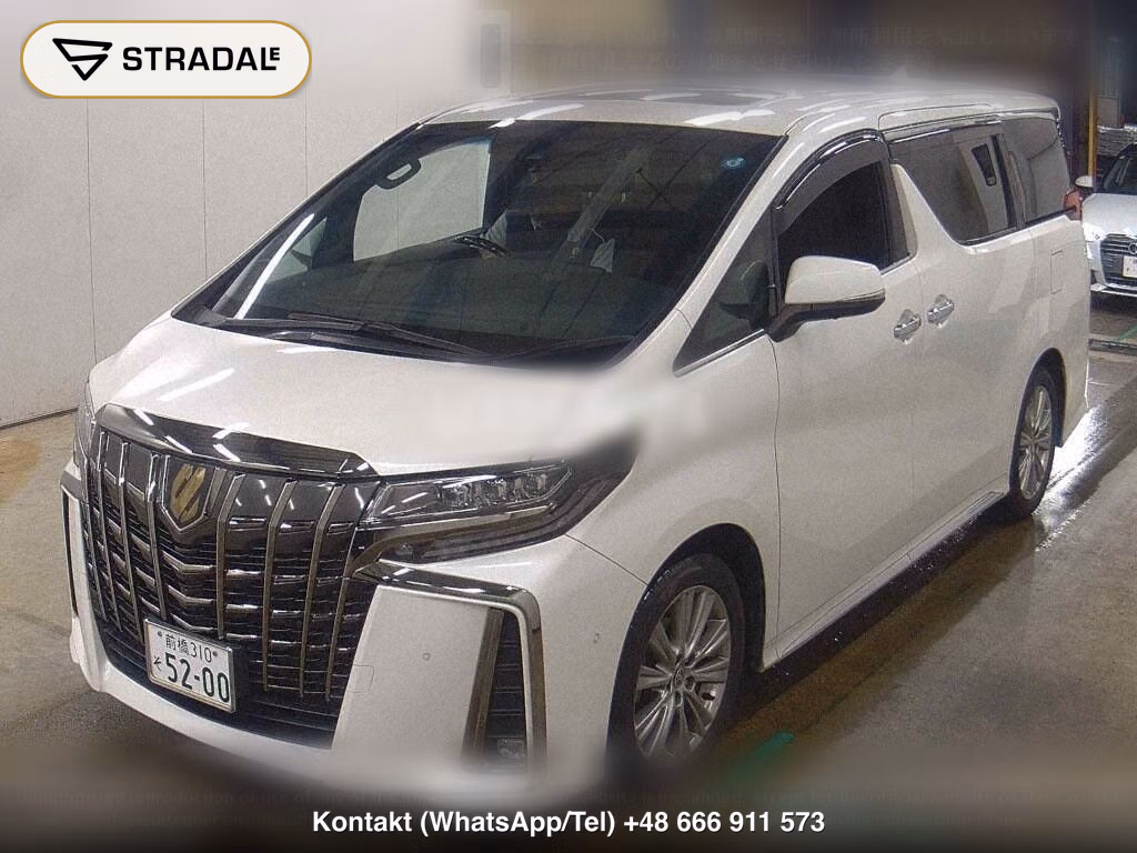 TOYOTA ALPHARD 2.5S TYPE GOLD, miniaturka 5