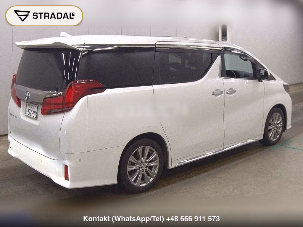 TOYOTA ALPHARD 2.5S TYPE GOLD, miniaturka 6