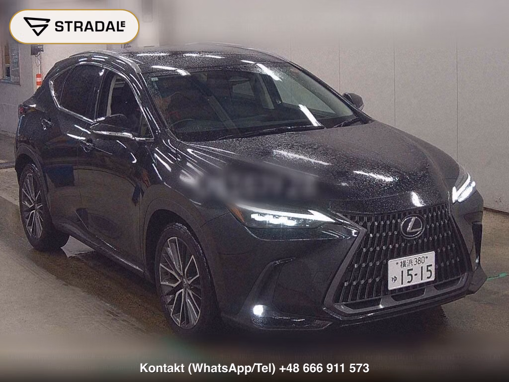 LEXUS NX NX250 VERSION L, miniaturka 2