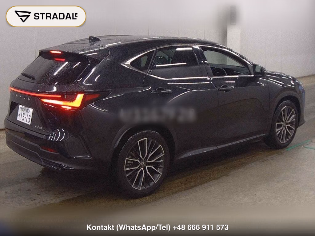 LEXUS NX NX250 VERSION L, miniaturka 6