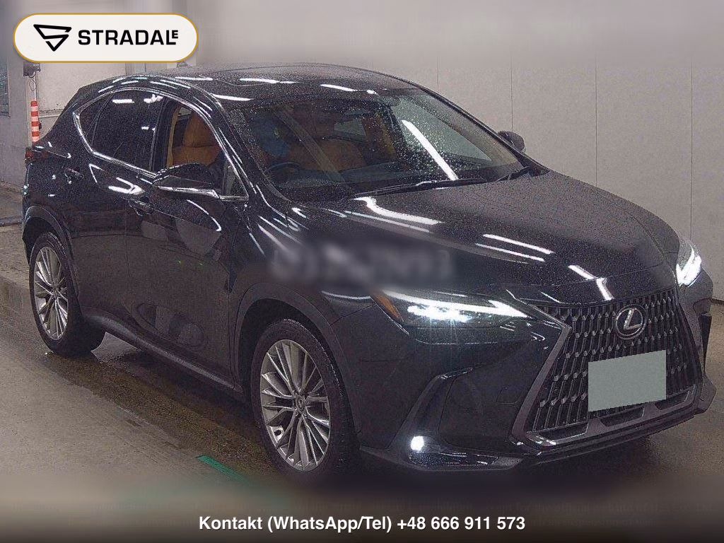 LEXUS NX 4WD NX350H VERSION L, miniaturka 2