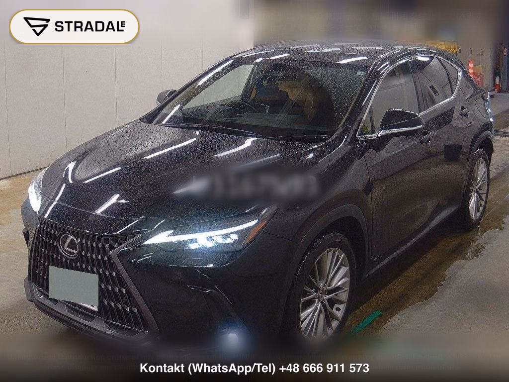 LEXUS NX 4WD NX350H VERSION L, miniaturka 5
