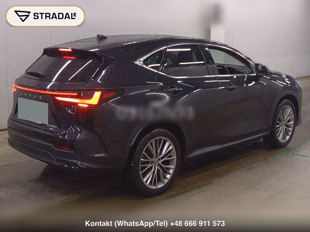 LEXUS NX 4WD NX350H VERSION L, miniaturka 6