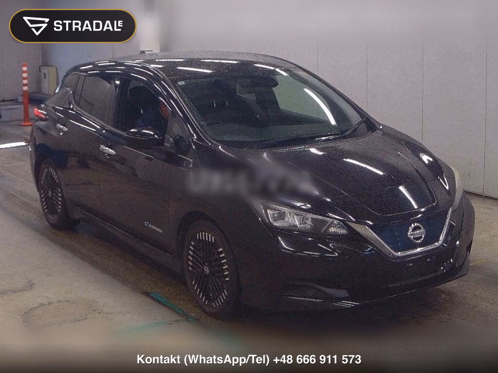 NISSAN LEAF X 10 THOUSAND UNITS MEMORIAL CAR, miniaturka 2