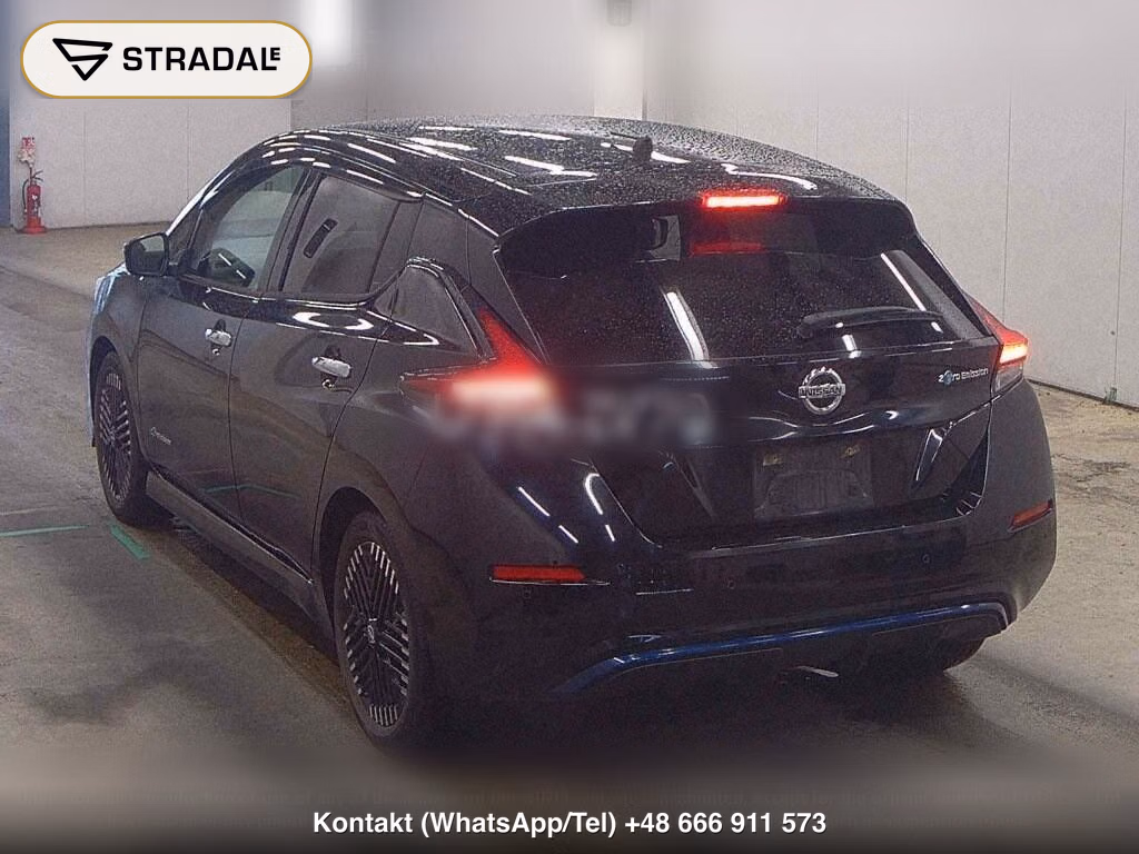 NISSAN LEAF X 10 THOUSAND UNITS MEMORIAL CAR, miniaturka 3