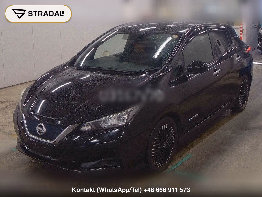 NISSAN LEAF X 10 THOUSAND UNITS MEMORIAL CAR, miniaturka 5