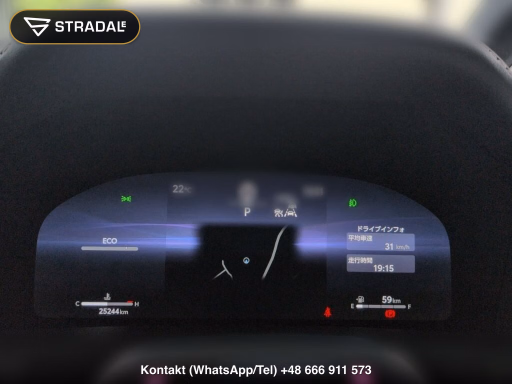 TOYOTA ALPHARD Z, miniaturka 7