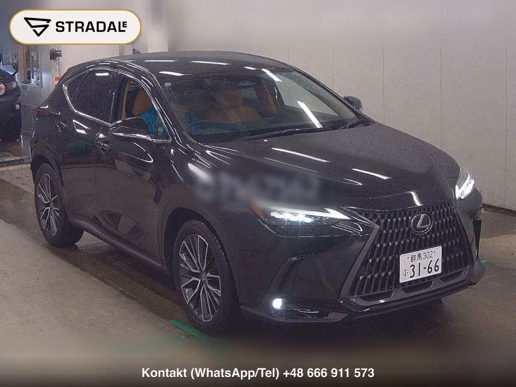 LEXUS NX NX250 VERSION L, miniaturka 2