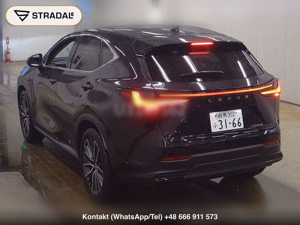 LEXUS NX NX250 VERSION L, miniaturka 3