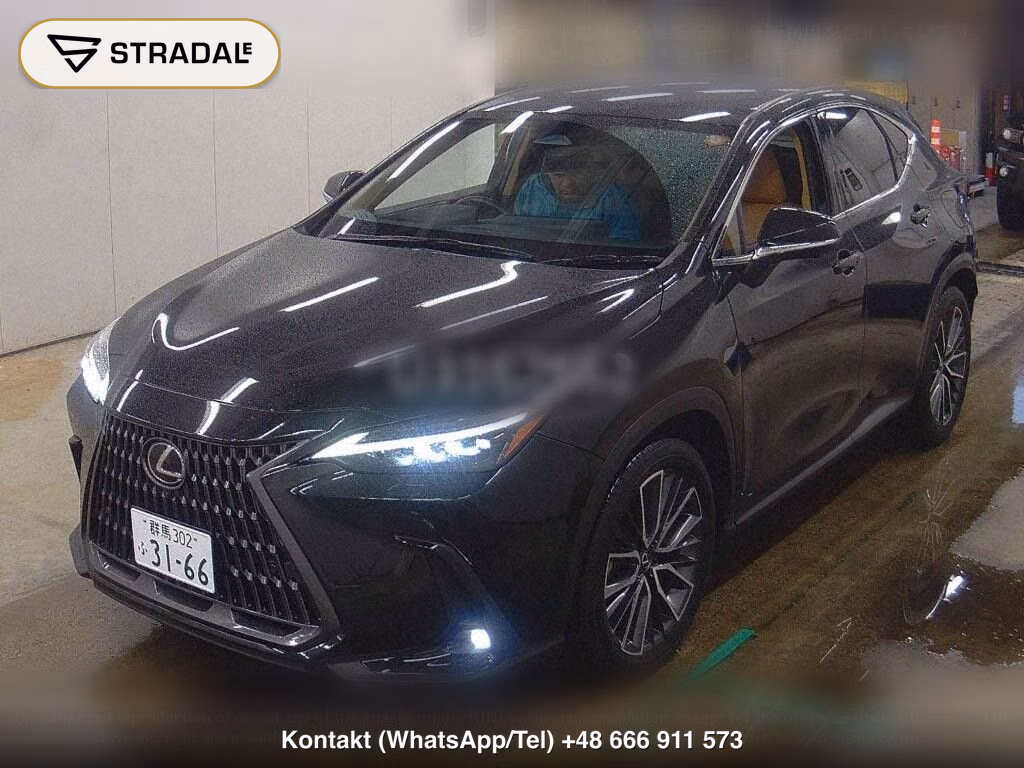 LEXUS NX NX250 VERSION L, miniaturka 5