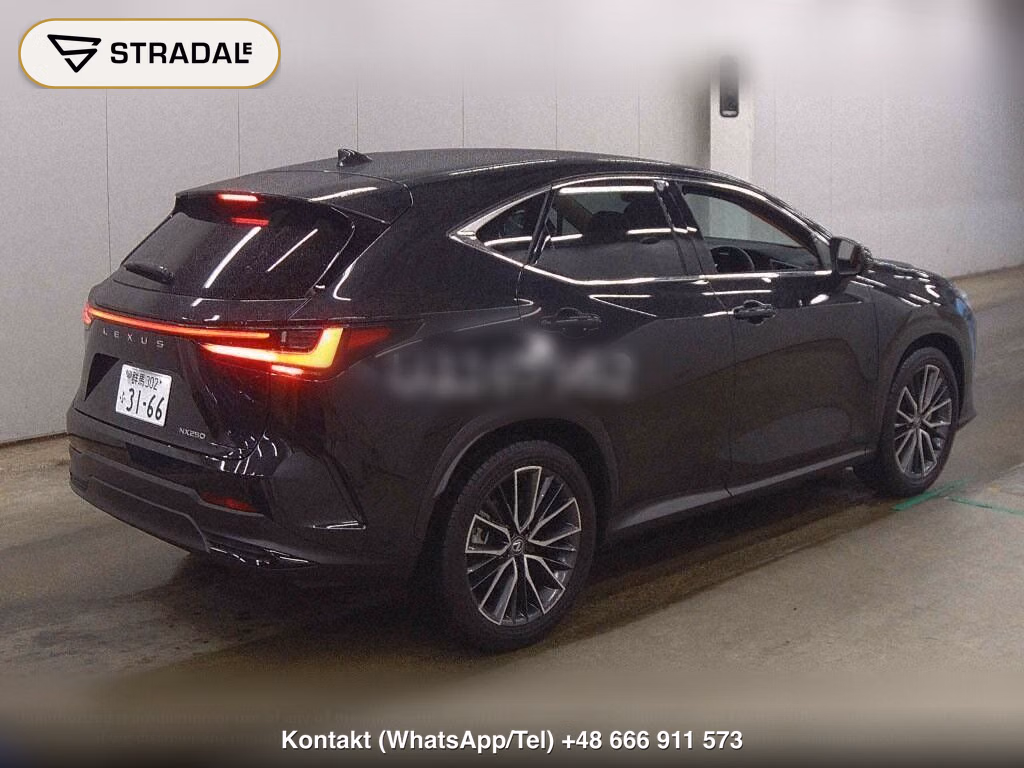 LEXUS NX NX250 VERSION L, miniaturka 6