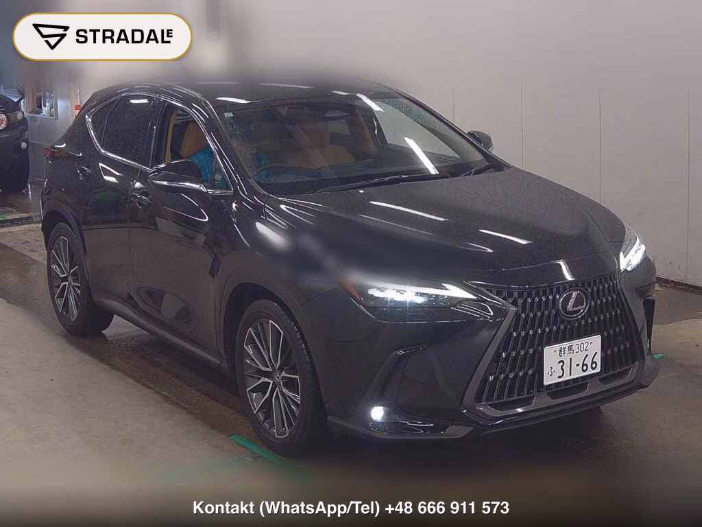 LEXUS NX NX250 VERSION L 2023, aukcja z Japonii, zdjęcie 1