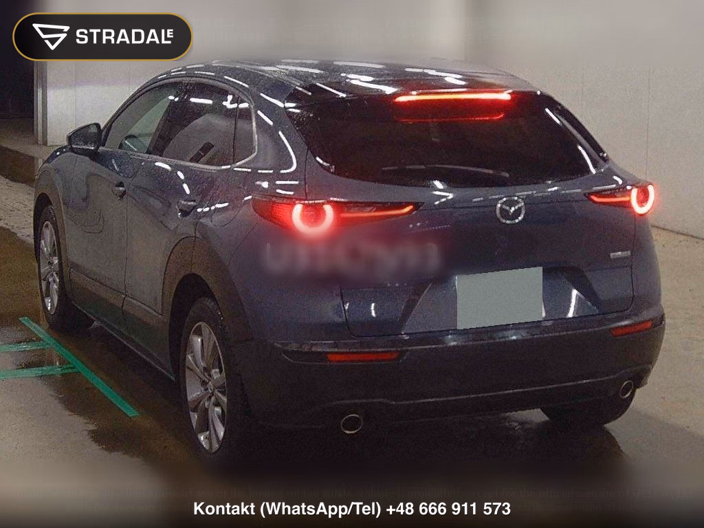 MAZDA CX-30 4WD 20S PROACTIVE TOURING SELECTION, miniaturka 3