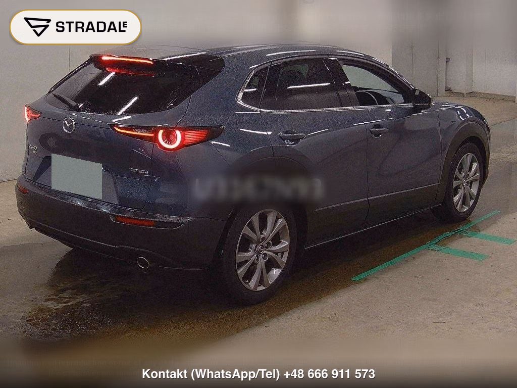 MAZDA CX-30 4WD 20S PROACTIVE TOURING SELECTION, miniaturka 6