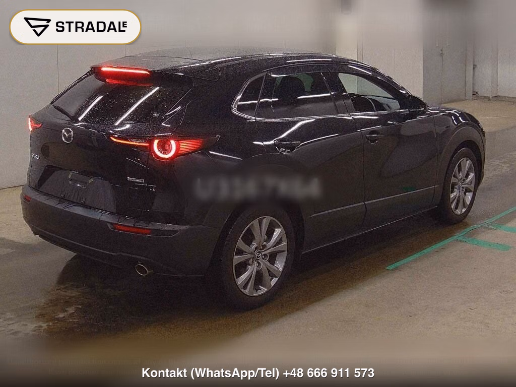 MAZDA CX-30 20S PROACTIVE, miniaturka 6