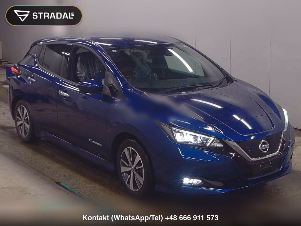 NISSAN LEAF X 2019, aukcja z Japonii, zdjęcie 1