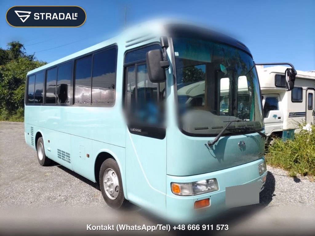 HINO LIESSE 2D OTHERS 2006, aukcja z Japonii, zdjęcie 1
