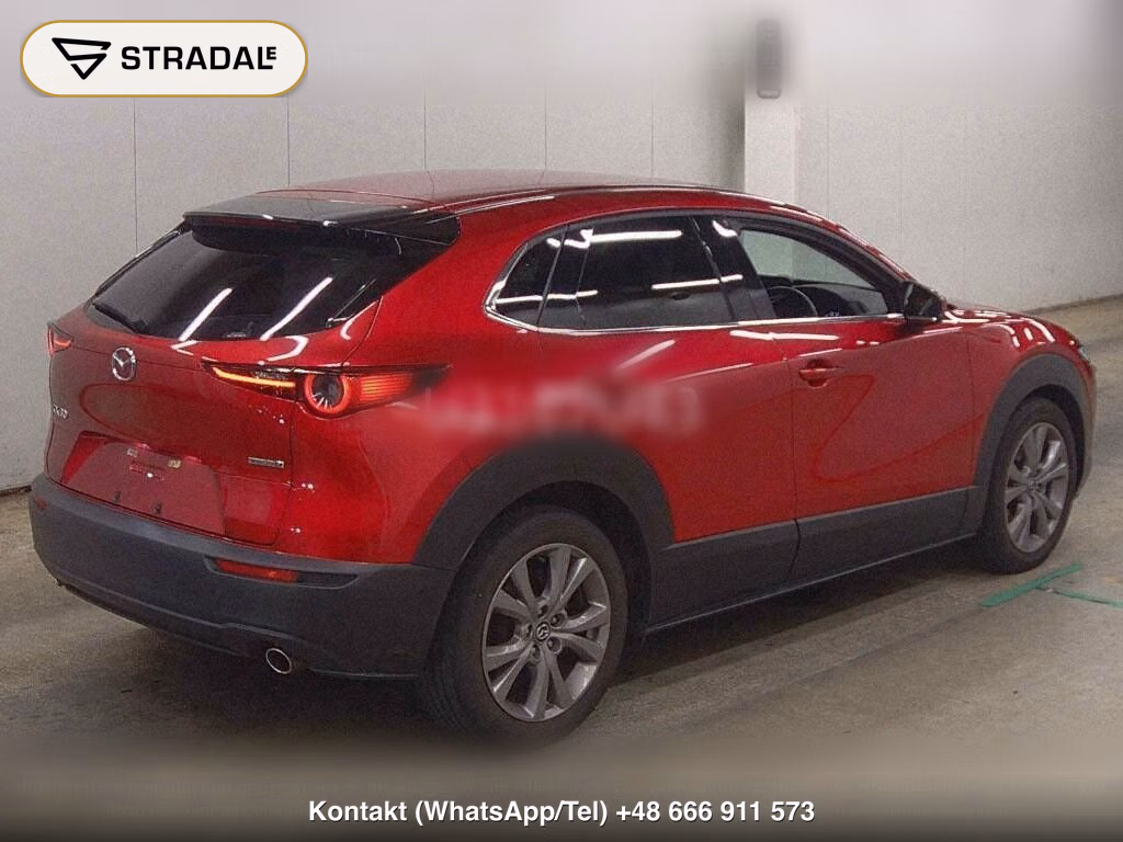 MAZDA CX-30 XD L PACKAGE, miniaturka 6