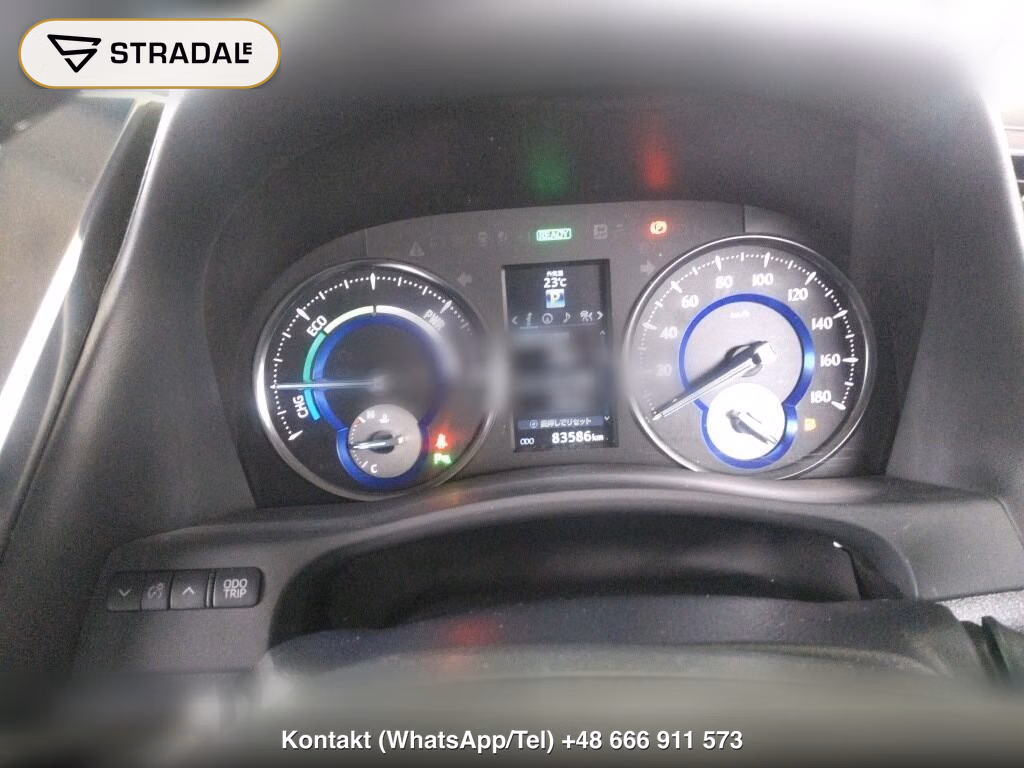 TOYOTA ALPHARD HYBRID 4WD SR, miniaturka 7