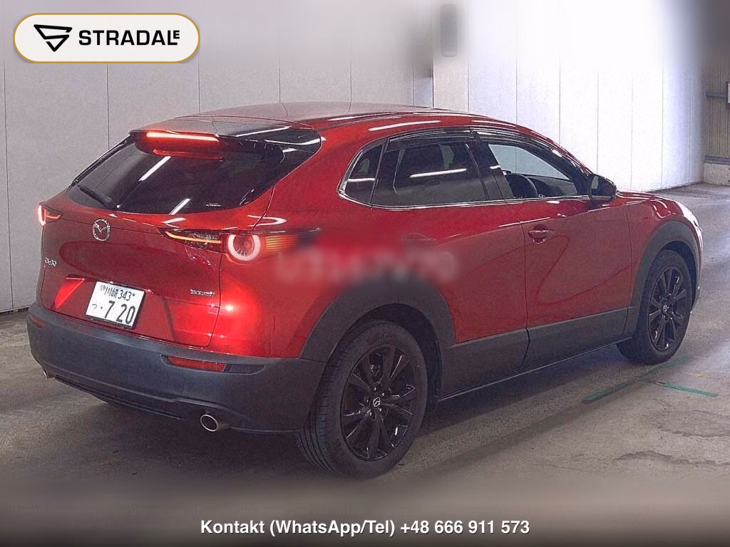 MAZDA CX-30 20S RETRO SPORTS EDITION, miniaturka 6