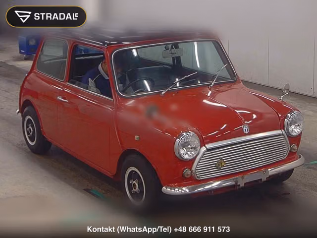 ROVER MINI 2D 1.3 1994, samochód z aukcji Japonii