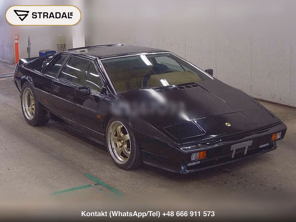 LOTUS ESPRIT OTHERS, miniaturka 2