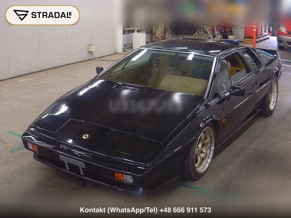 LOTUS ESPRIT OTHERS, miniaturka 5