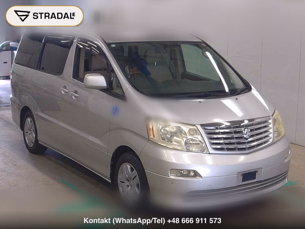 TOYOTA ALPHARD OTHERS 2002, aukcja z Japonii, zdjęcie 1