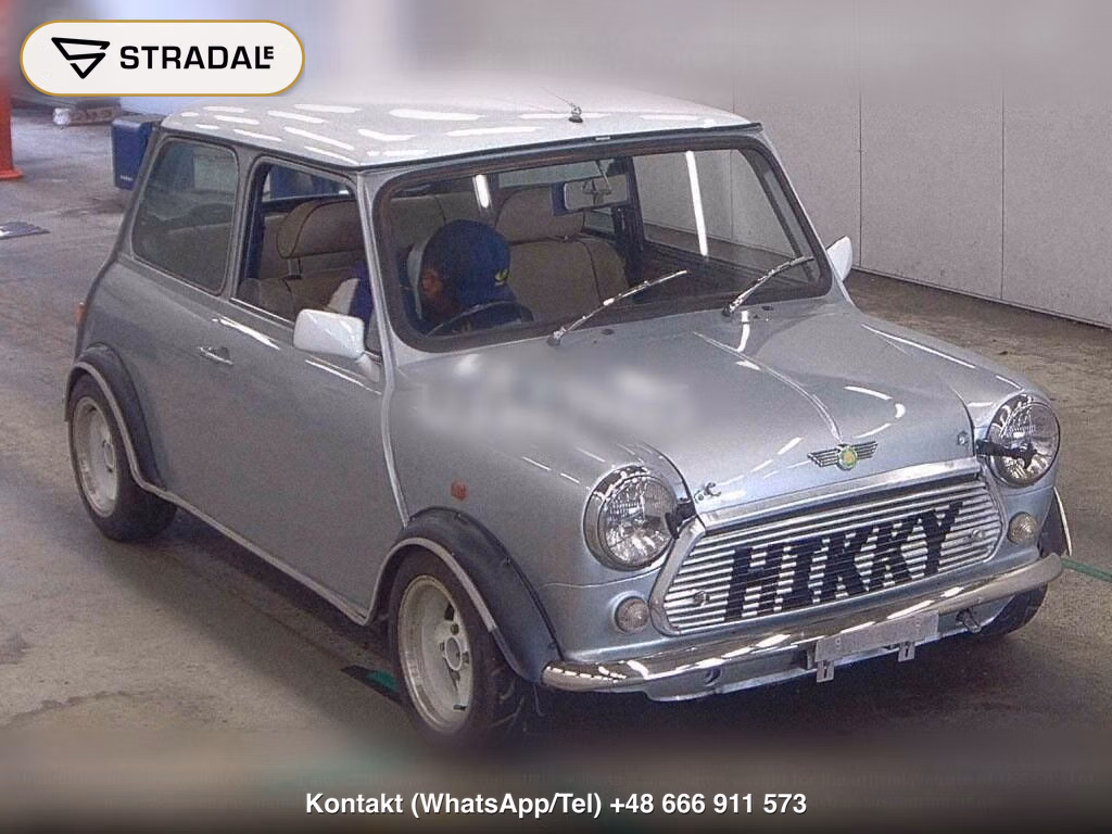 ROVER MINI 2D, miniaturka 2