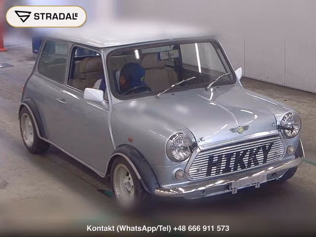 ROVER MINI 2D 1994, samochód z aukcji Japonii